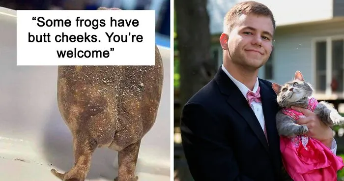 50 Wholesome Pics To Heal Your Soul That Are Heckin’ Awesome