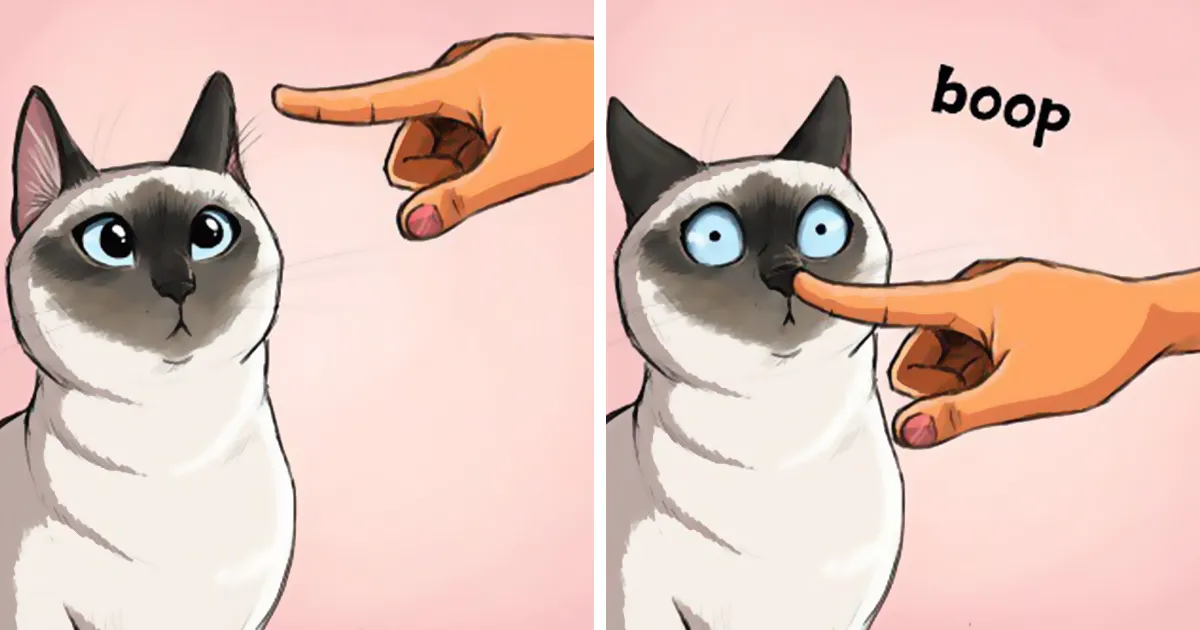 30 Ilustraciones que muestran cómo es tener un gato