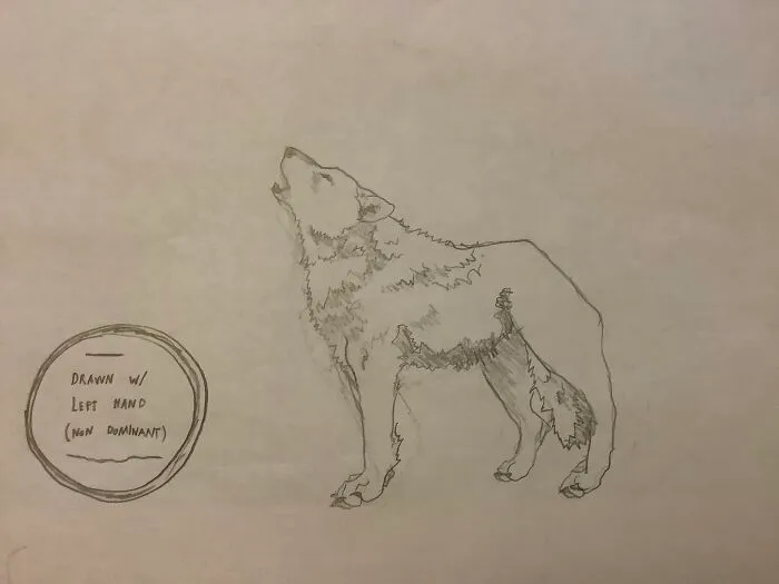 I Am Really Proud Of This. I Think, Myself, I Am Getting Very Well At Left Hand Drawing