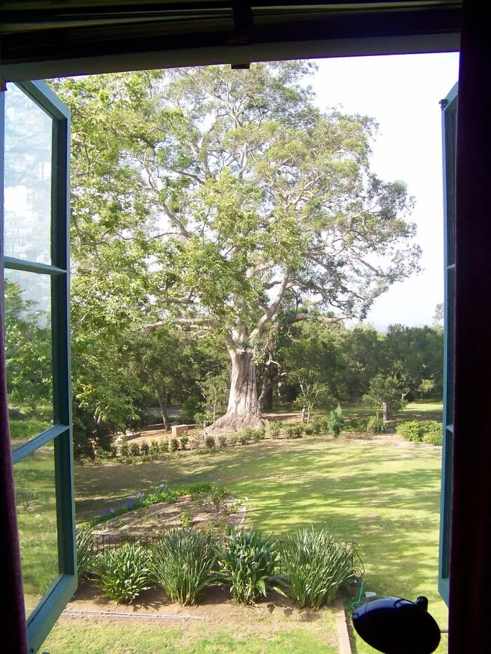 View From My Window