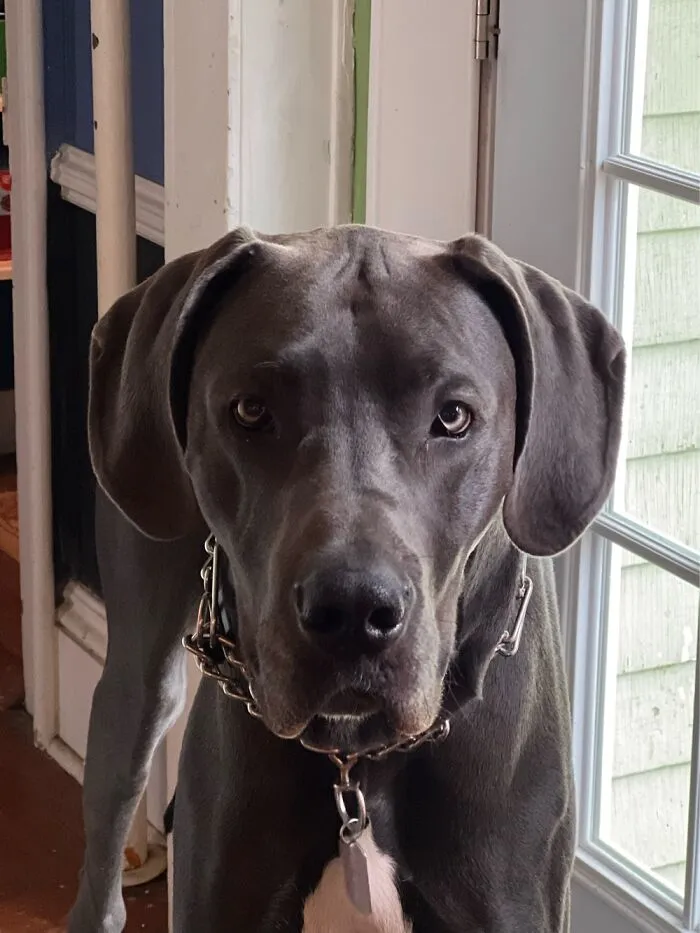 Here’s Wally.
