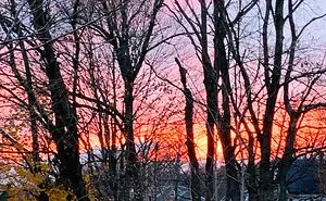 Show Me The Best Sunset