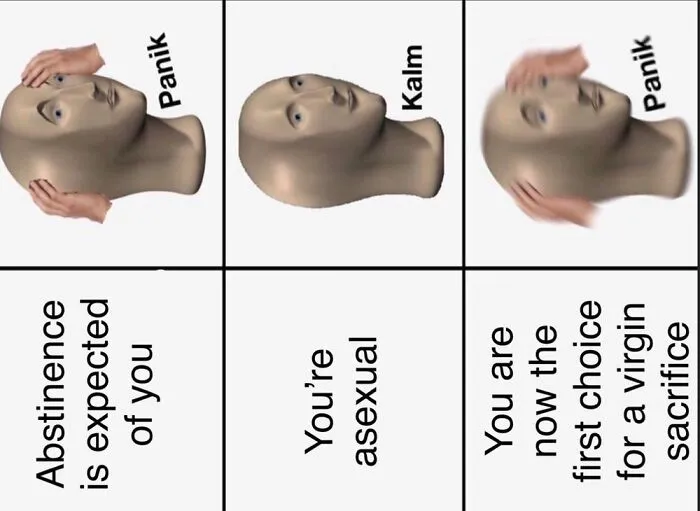 A three-panel meme depicting a humorous take on asexuality with a "panic" and "calm" face.