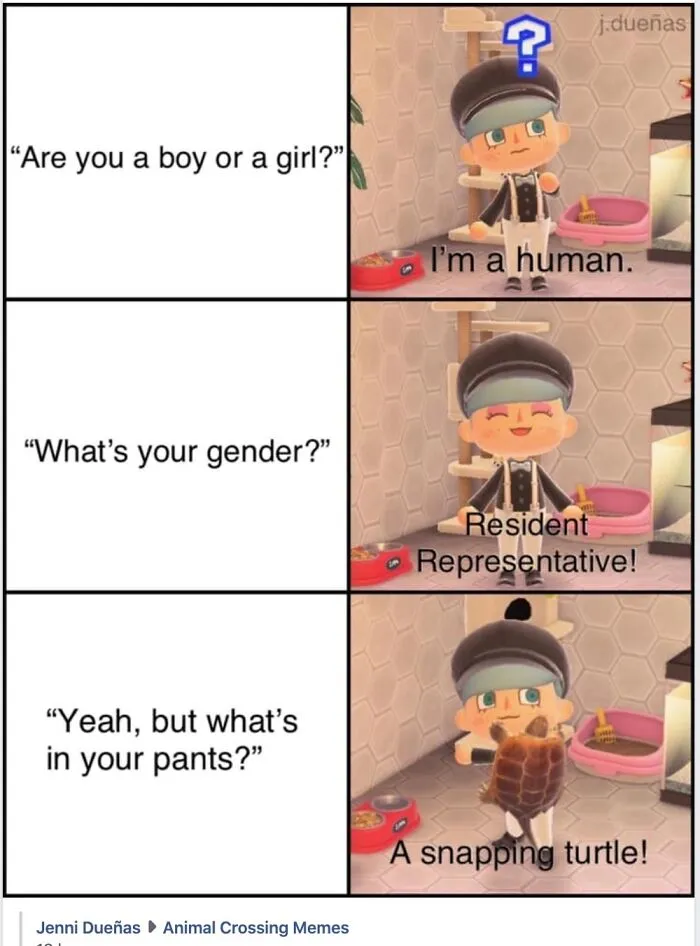 Animal Crossing character humorously responding to questions about gender, featuring a snapping turtle punchline.