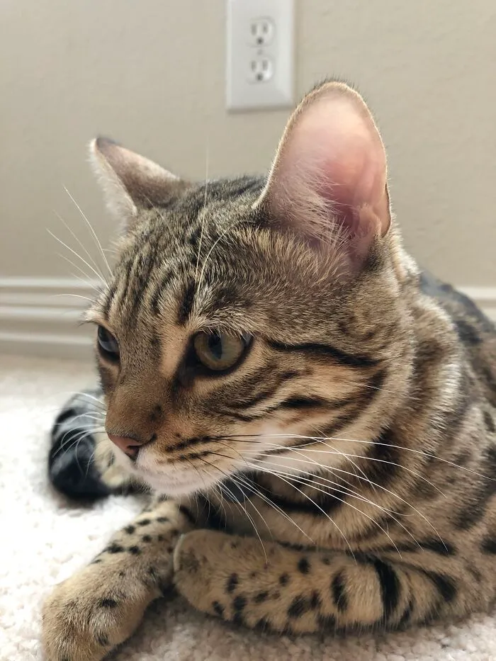 Look At Me. I Am Beauty.