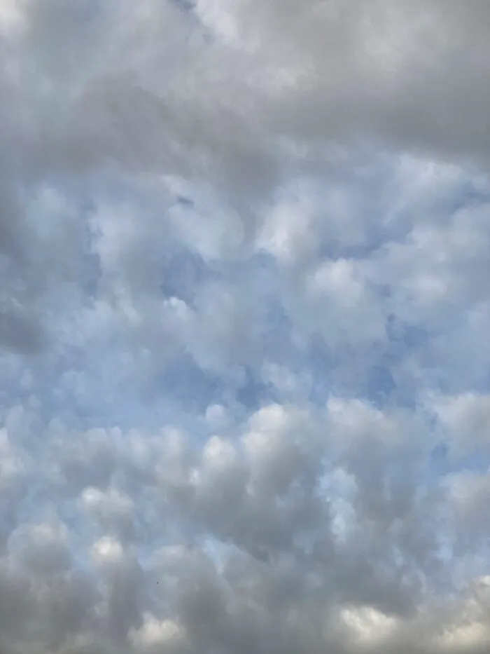 The Sky (I Was In A Plane)