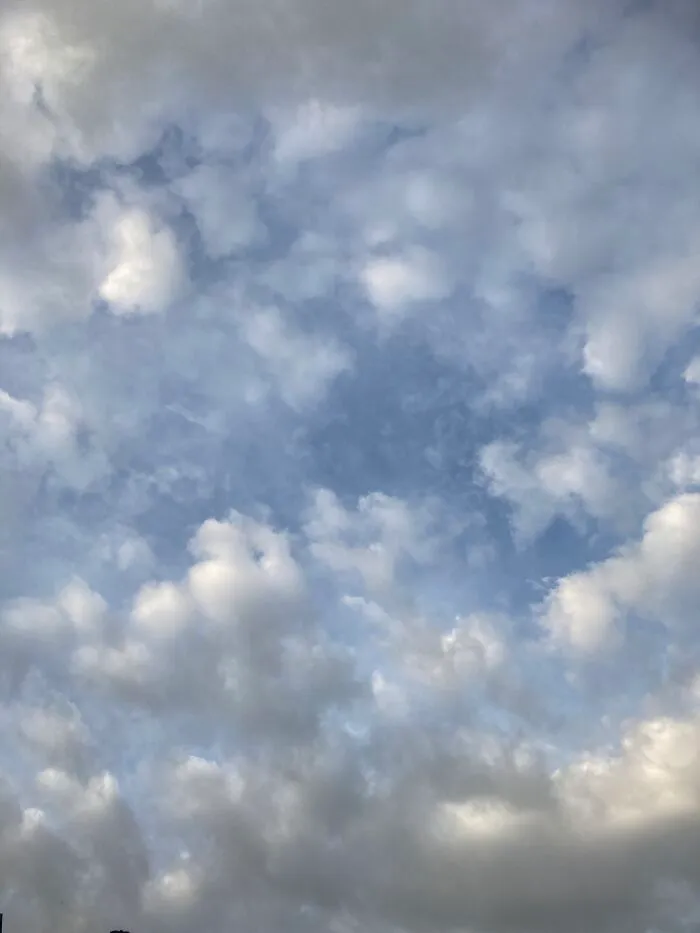 The Sky (Plane)