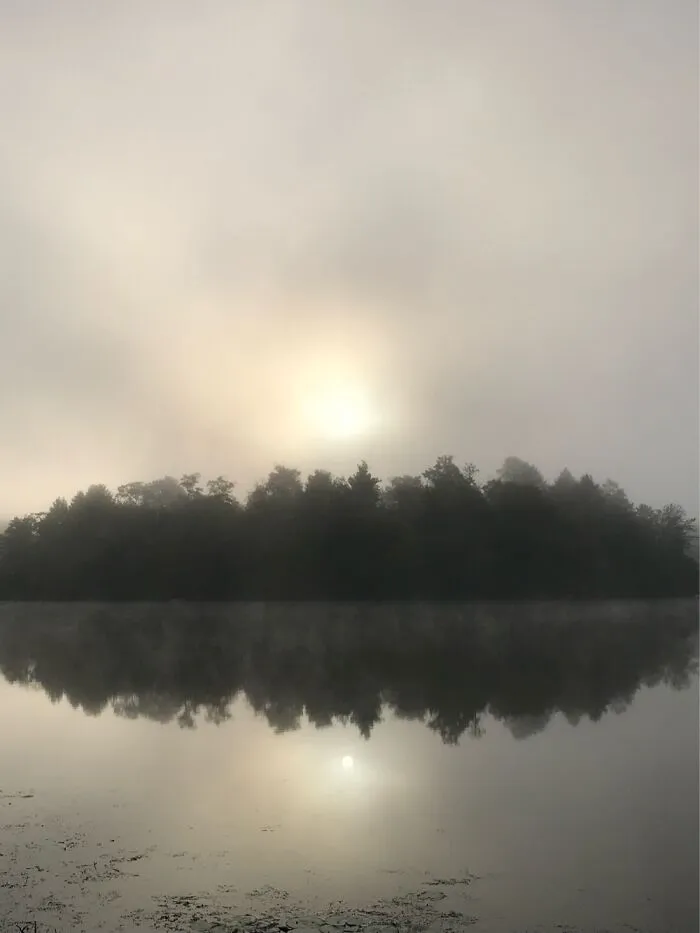 Misty Morning