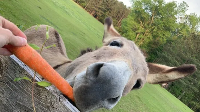 You Got Snacks?