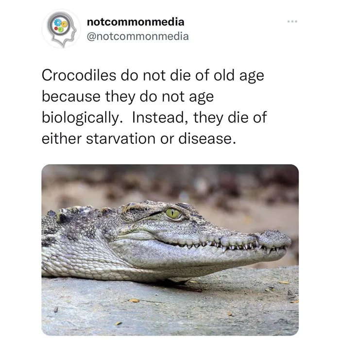 40 Lesser-Known Facts Shared By The "Not Common Facts" Instagram Account (New Pics)