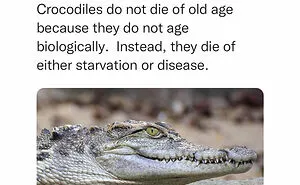 40 Lesser-Known Facts Shared By The "Not Common Facts" Instagram Account (New Pics)