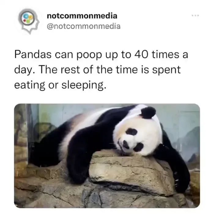 40 Lesser-Known Facts Shared By The "Not Common Facts" Instagram Account (New Pics)