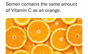 40 Lesser-Known Facts Shared By The "Not Common Facts" Instagram Account (New Pics)