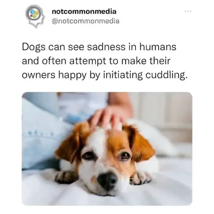 40 Lesser-Known Facts Shared By The "Not Common Facts" Instagram Account (New Pics)