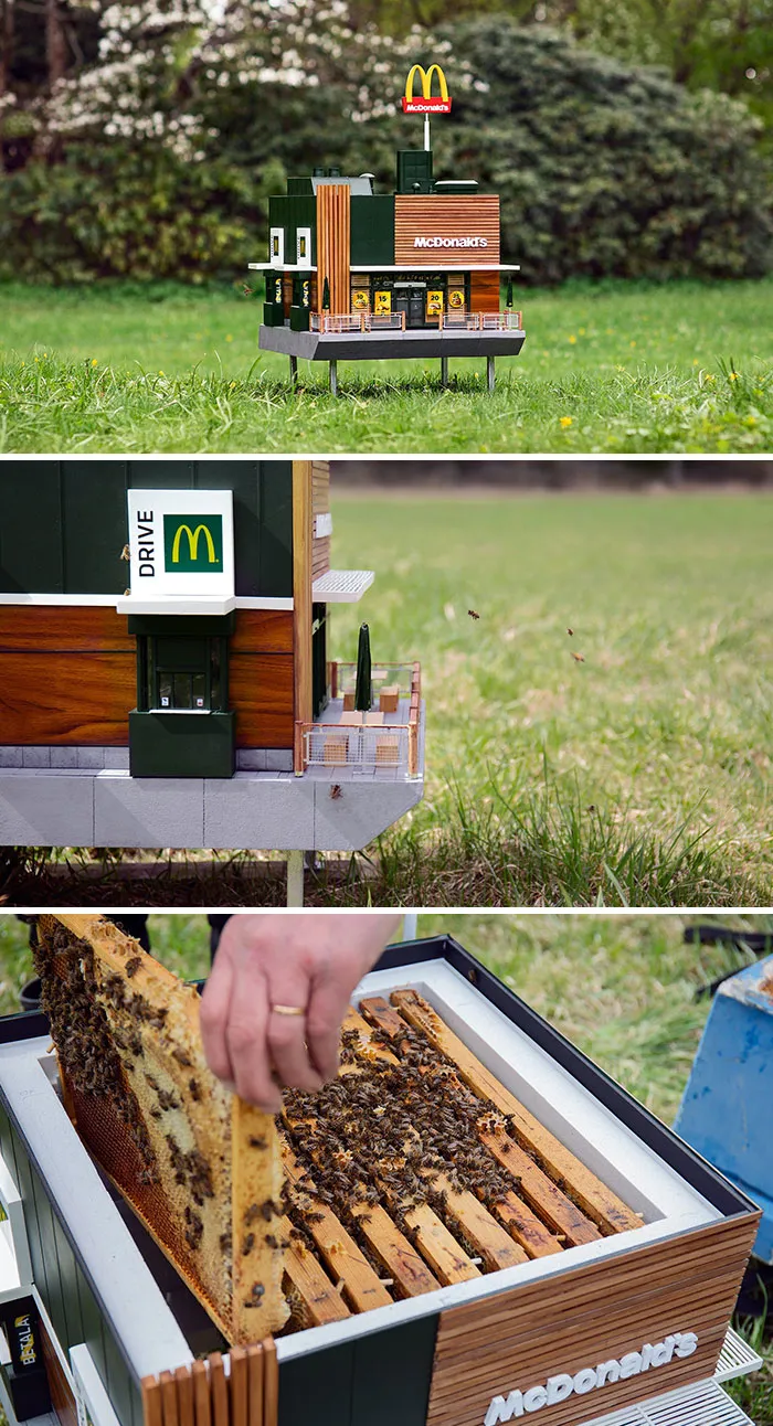 Mchive, Suecia: el McDonald's más pequeño del mundo y que busca salvar a las abejas
