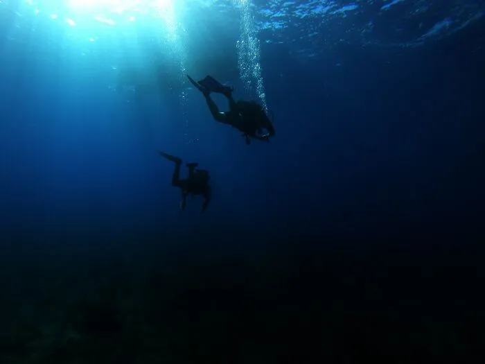 30 ‘Horror Stories’ From Sailors, Scuba Divers, And Surfers Who Have Seen Things In The Ocean They Wish They Could Forget