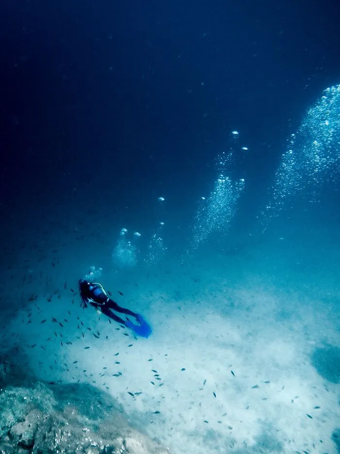 30 ‘Horror Stories’ From Sailors, Scuba Divers, And Surfers Who Have Seen Things In The Ocean They Wish They Could Forget
