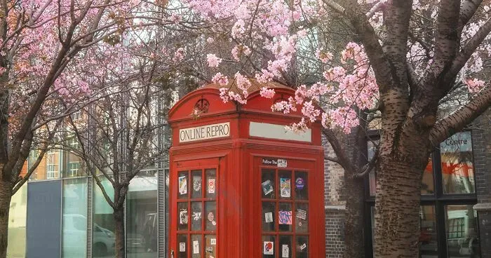 Most People Don't Know That London Is One Of The Greenest Cities In The World, And Here Are My 23 Photos To Prove It