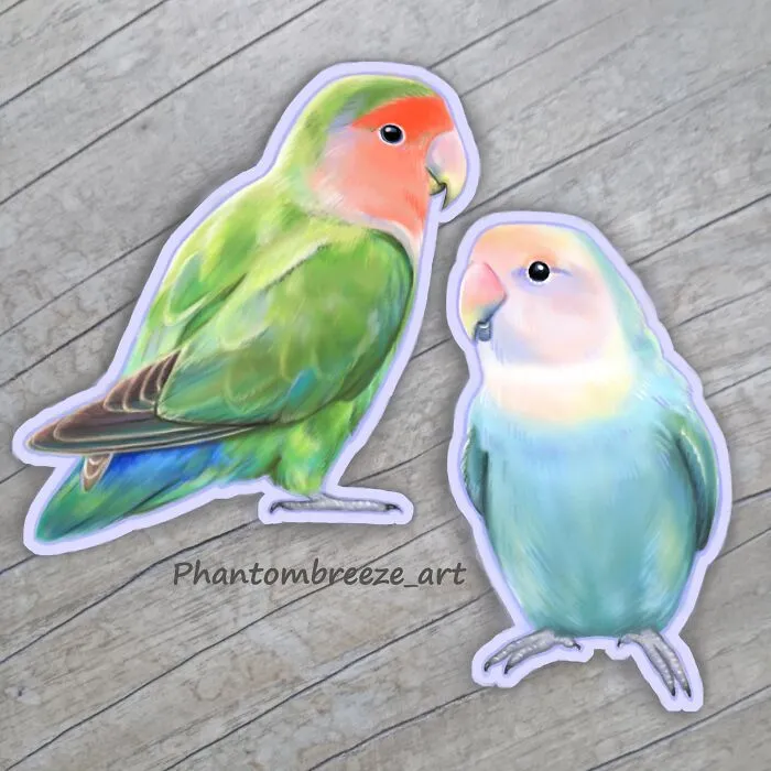 Peach Faced Lovebirds