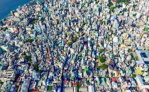 50 ‘Weird Facts’ About The World That Might Give You A Fresh Perspective