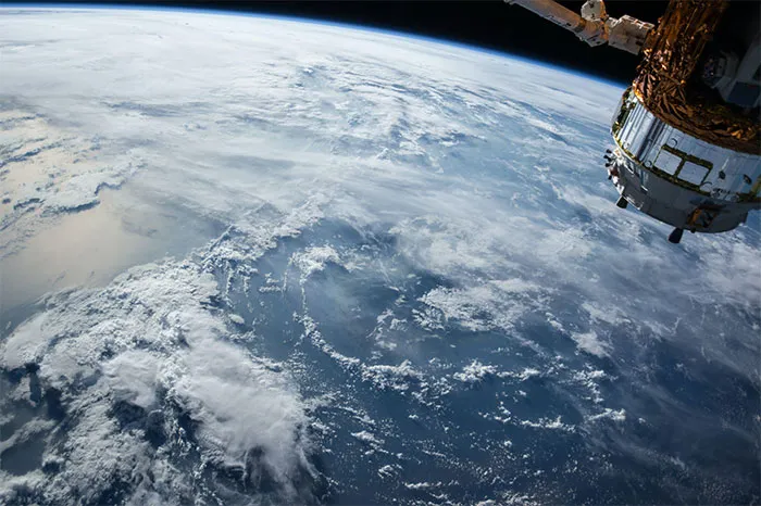 50 ‘Weird Facts’ About The World That Might Give You A Fresh Perspective