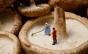 I’ve Created Tiny World Models To Reflect On Modern Issues (13 New Pics)
