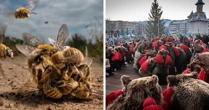The Big Picture 2022 Photography Awards: 30 Winning Images And Finalists Capturing The Rich Diversity Of Life On Earth