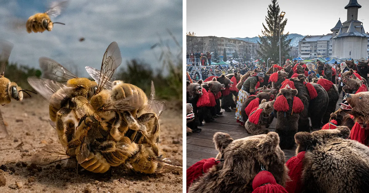 Premios de fotografía The Big Picture 2022: 20 imágenes ganadoras y finalistas que capturan la rica diversidad de la vida en la Tierra