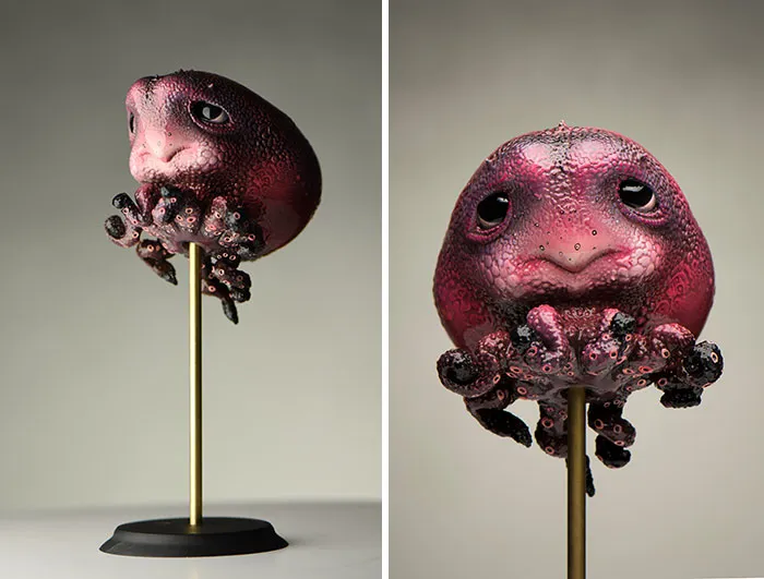 Baby Octopus