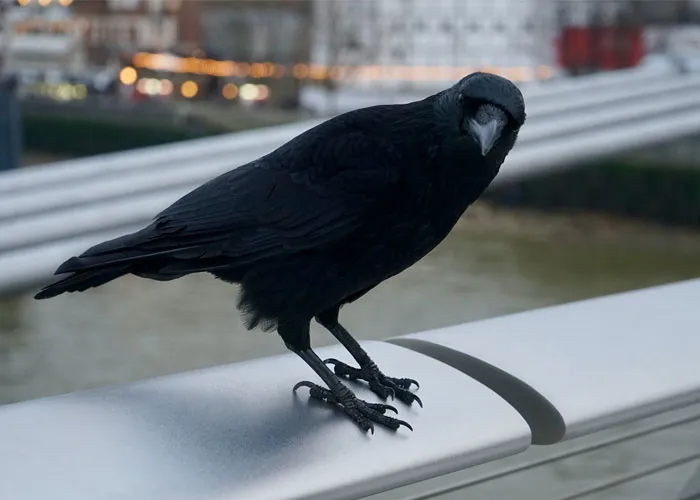 35 Interesting And Weird Animal Facts Not Too Many People Know