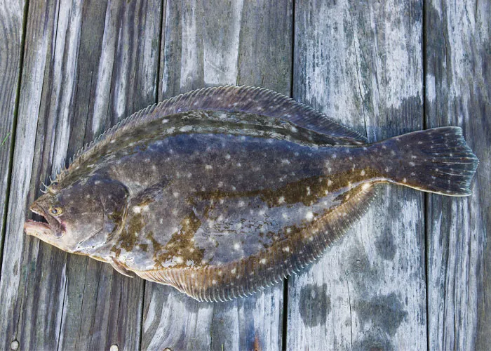 35 Interesting And Weird Animal Facts Not Too Many People Know