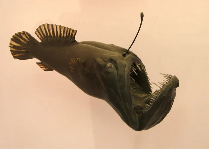 35 Interesting And Weird Animal Facts Not Too Many People Know