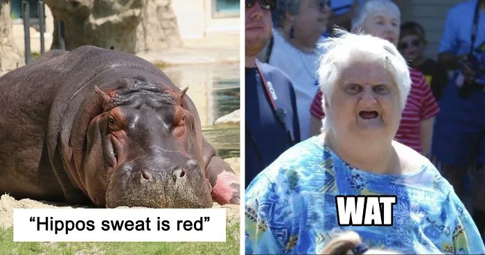 35 Interesting And Weird Animal Facts Not Too Many People Know