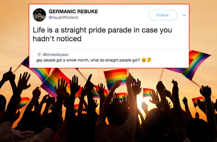 Silhouetted crowd with rainbow flags and a humorous LGBTQ+ meme about straight pride.