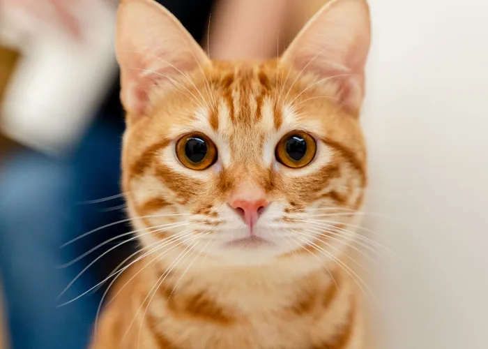 35 Weird, Fascinating, And Disturbing Statistics About Pretty Much Everything