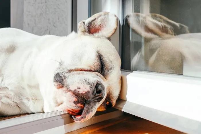40 People Who Worked For The Super Rich Reveal The Craziest Things They Have Seen While On Duty