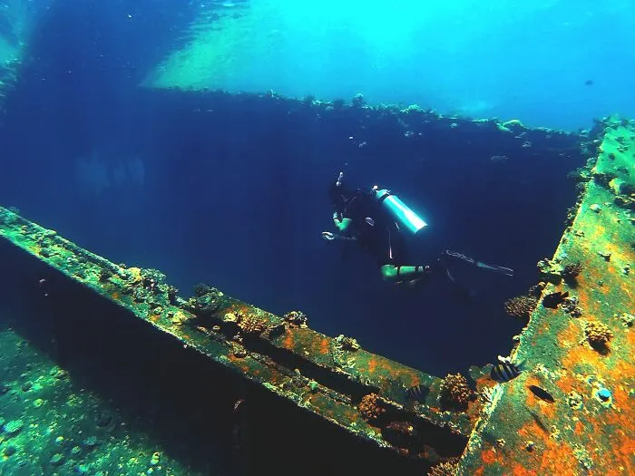 30 ‘Horror Stories’ From Sailors, Scuba Divers, And Surfers Who Have Seen Things In The Ocean They Wish They Could Forget
