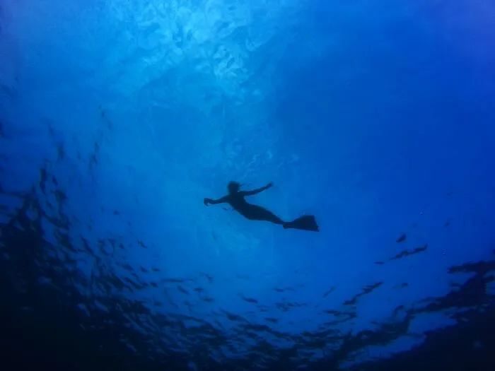 30 ‘Horror Stories’ From Sailors, Scuba Divers, And Surfers Who Have Seen Things In The Ocean They Wish They Could Forget