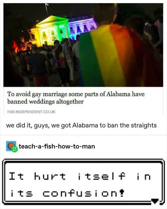 This Is Beyond Stupid Is Anyone From Alabama And Can Confirm This Stupidity