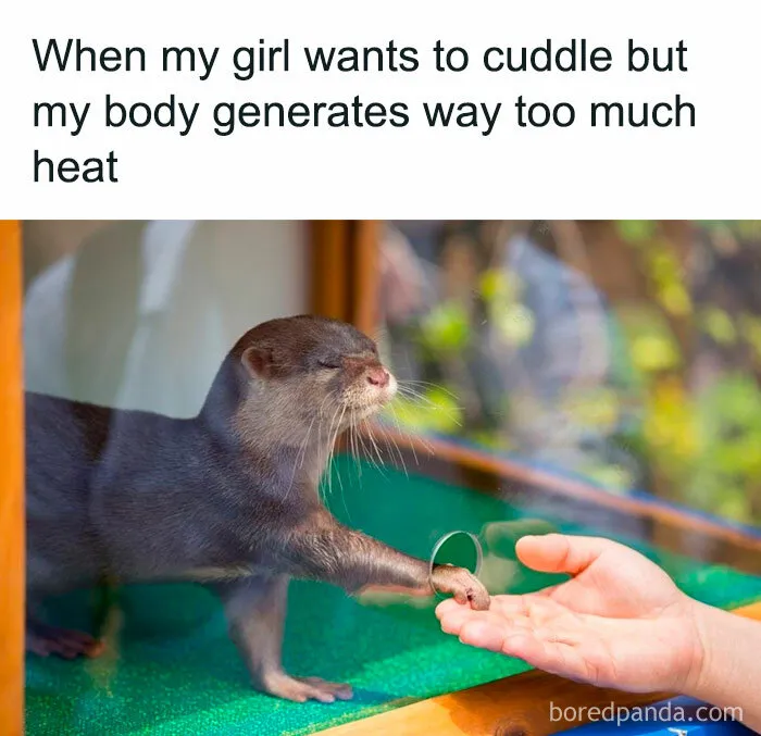 30 Hilarious Memes From This Facebook Group That Perfectly Sum Up Relationships