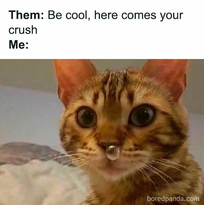 30 Hilarious Memes From This Facebook Group That Perfectly Sum Up Relationships