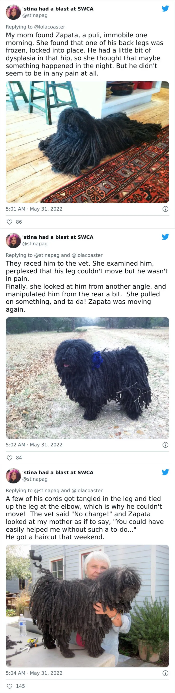40 Pet Owners Share The Most Ridiculous Reason They Had To Bring Their Pet To The Vet
