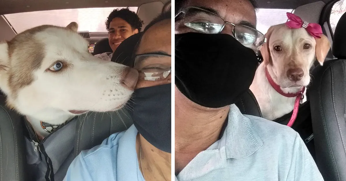 40 Selfies que este hombre se hizo con los pasajeros de su "taxi de mascotas"