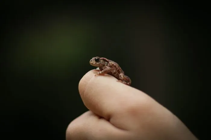 35 Interesting And Weird Animal Facts Not Too Many People Know
