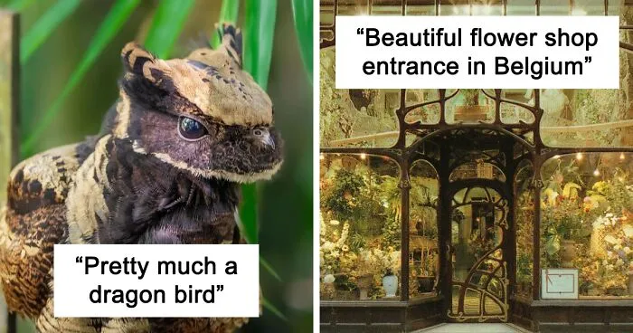 This Online Group Has People Posting "All Things That Seem Straight Out Of A Fairytale", And Here Are 40 Of Their Most Bewitching Pics
