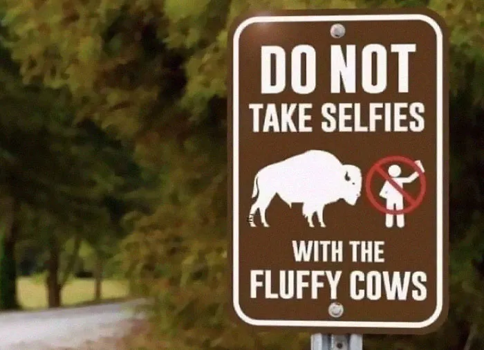 50 Of The Best Pics From This Facebook Group Dedicated To Weird And Absurd Signs Spotted Around The World