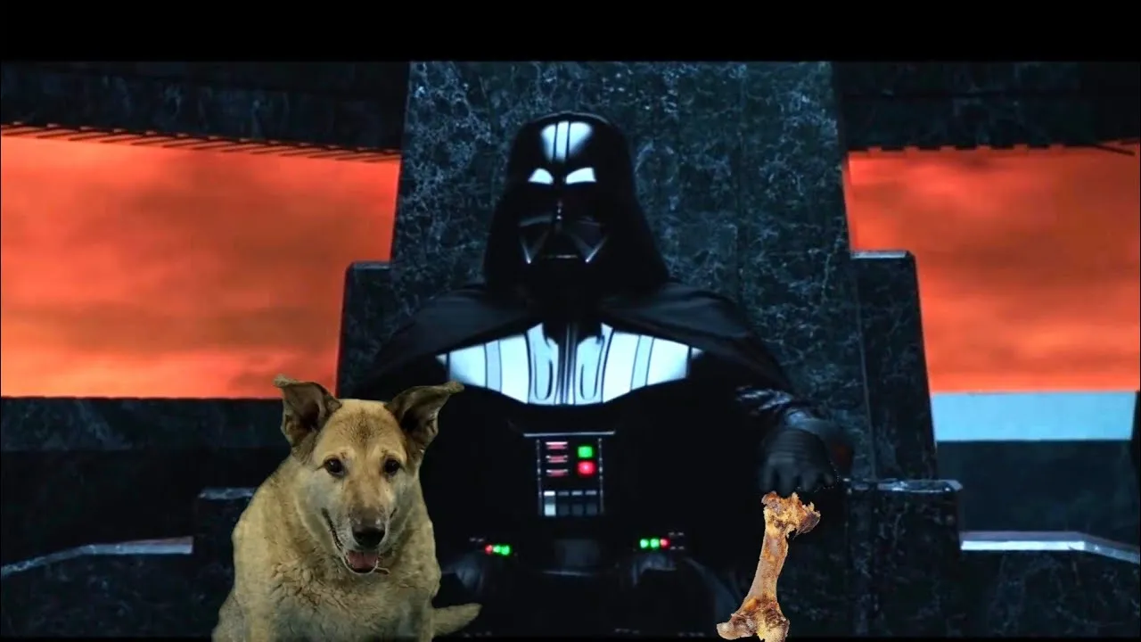 Darth Vader Adopts A Dog