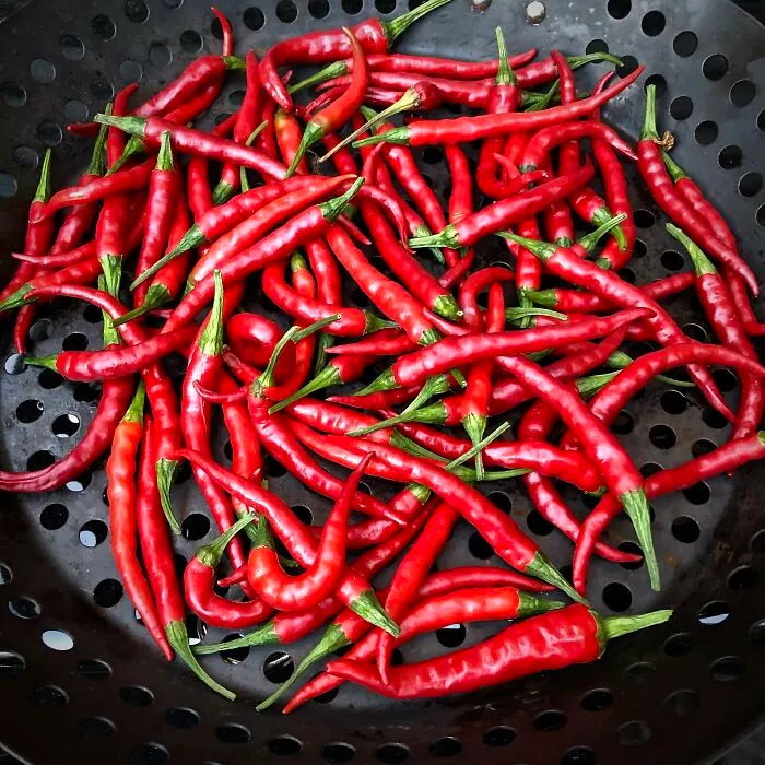 Cayenne