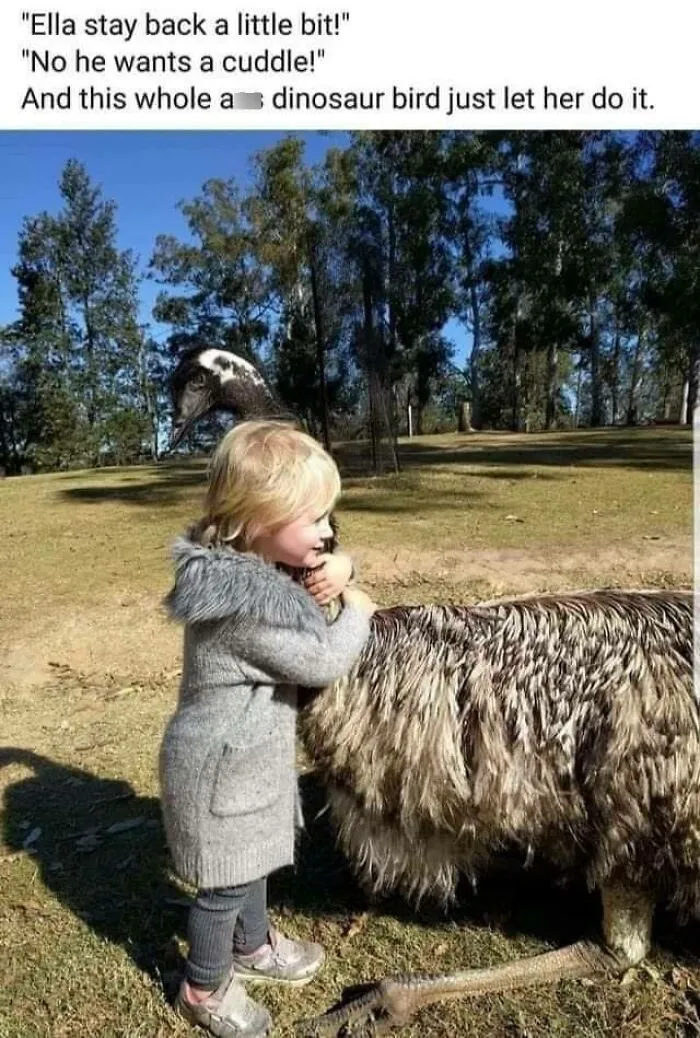 This Facebook Group Celebrates 'Cute Nopes' That Might Change Your Mind About Them (50 Pics)