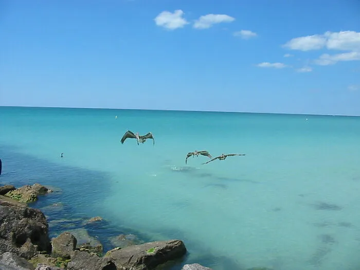 At The Bottom Of The Ocean You Would Feel A Weight Equivalent To That Of 50 Passenger Planes